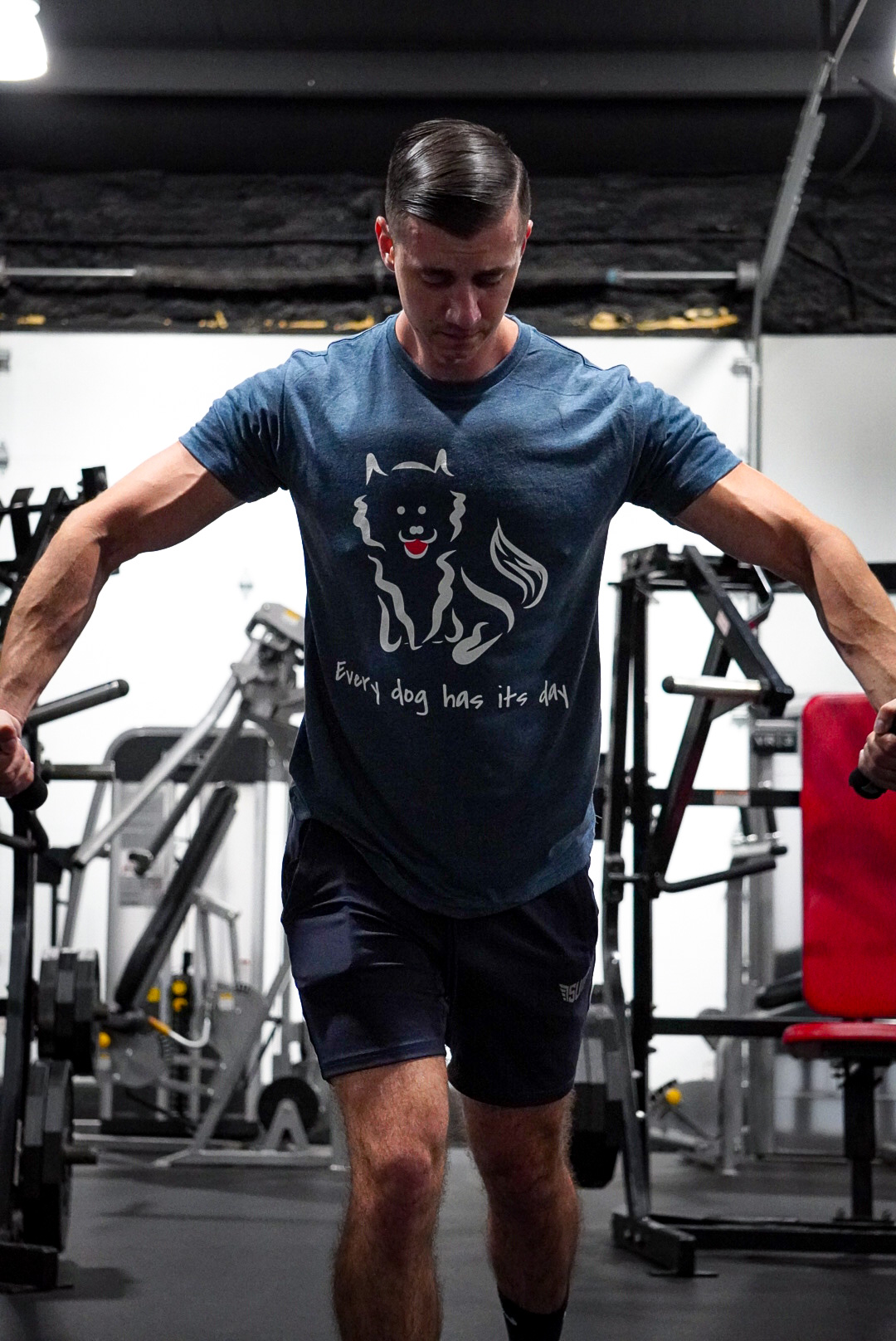 4.2 oz Triblend Unisex Next Level Indigo T-shirt with screen-printed Every Dog Has its Day self-designed Pomeranian graphic - Image 12