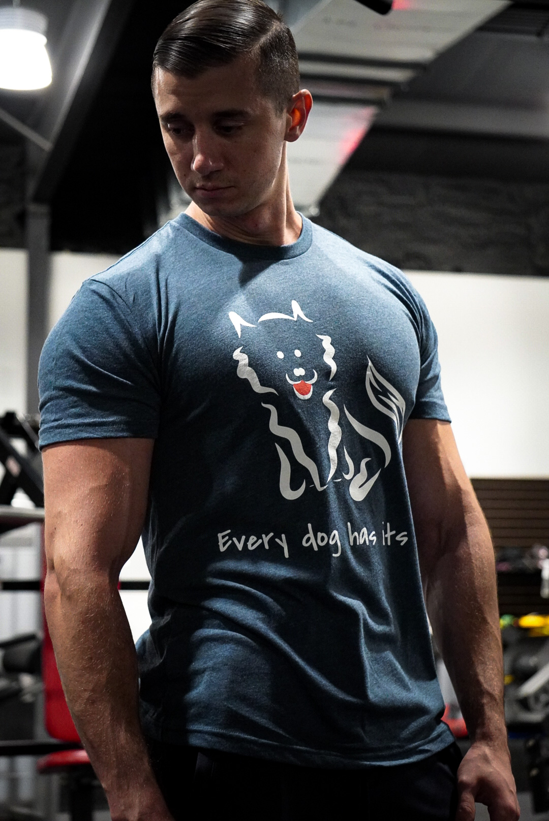 4.2 oz Triblend Unisex Next Level Indigo T-shirt with screen-printed Every Dog Has its Day self-designed Pomeranian graphic - Image 11